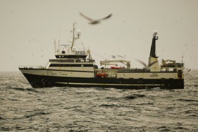 Read more about the article Færøske filettrawlere har fisket i Barentshavet