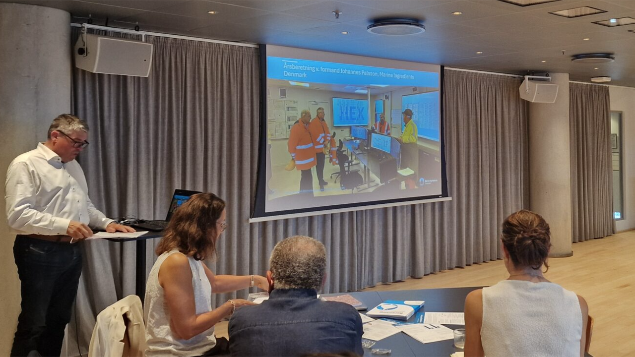 Read more about the article MID: En central placering i den blå værdikæde