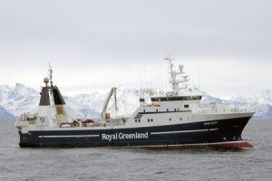 Grønlandsk filettrawler med stor fangst succes. Foto:Gr-6-500 Sisimut Fotograf: Olin