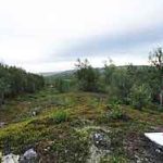 Danske fiskekøb, norsk import af foder-råvarer og fortsat samhandel i Sverige og Finland viser, at forbindelserne til Rusland ikke er afbrudt – selv fire år efter invasionen af Ukraine. Handlen er i vidt omfang lovlig, men udfordrer den politiske målsætning om at lægge pres på Rusland. foto: grænseovergang mellem Norge og Rusland - wikipedia