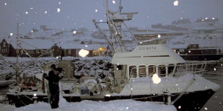 Grønlandske rejefiskere frarådes at købe fartøjer. Foto Ole C
