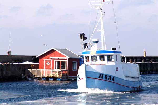 Read more about the article Flot fremgang i fiskeriet efter kulsøer