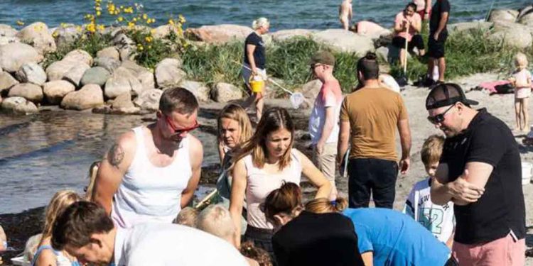 Havets Folkemøde