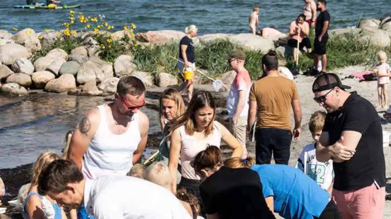 Read more about the article Havets Folkemøde 2025 holdes på Stevns den 28. juni 2025