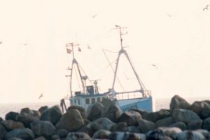 Dynamiske havkort guider danske fiskere til fiskene.  arkivfoto: FVM