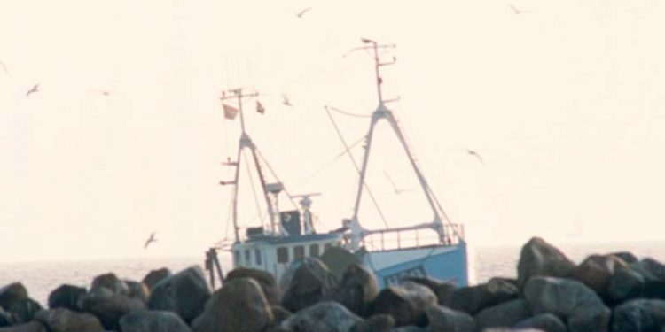 Dynamiske havkort guider danske fiskere til fiskene.  arkivfoto: FVM