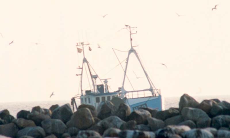Read more about the article Dynamiske havkort guider danske fiskere til fiskene