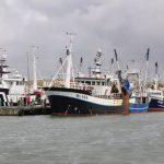 foto: Hvide Sande Havn
