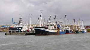 e danske havne kommer til at spille en nøglerolle i den grønne omstilling, hvor der bliver kamp om arealerne på grund af flere aktiviteter. Havnearealerne bør derfor være forbeholdt de virksomheder, der er afhængige af beliggenheden ved vandet. foto: Hvide Sande Havn