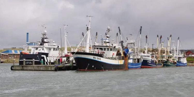 e danske havne kommer til at spille en nøglerolle i den grønne omstilling, hvor der bliver kamp om arealerne på grund af flere aktiviteter. Havnearealerne bør derfor være forbeholdt de virksomheder, der er afhængige af beliggenheden ved vandet. foto: Hvide Sande Havn