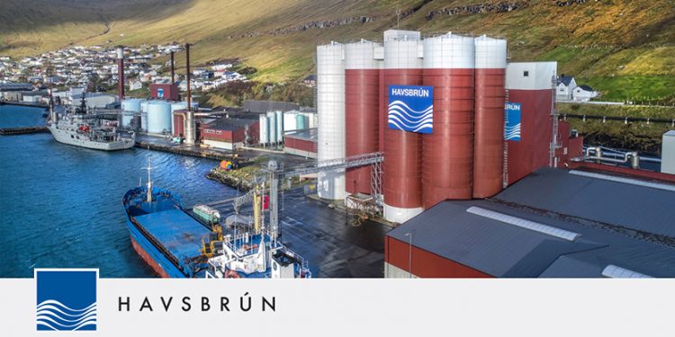 Det grønlandske fartøj »Tasilaq« landede 700 tons blåhvilling til Havsbrún i Fuglefjord, som de havde fisket ud for færøerne med et godt resultat.