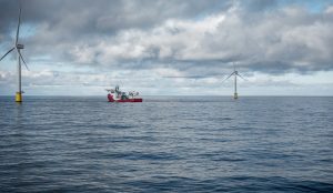 Norske forskere advarer mod vindmøller til havs, at de påvirker fisk, havpattedyr og havmiljø – både under opbygning og under drift. foto: Anne Christine Utne Palm - HI.no