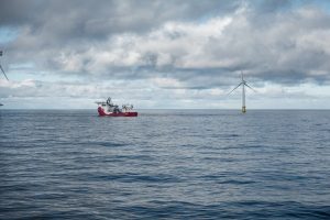 Norske forskere advarer mod vindmøller til havs, at de påvirker fisk, havpattedyr og havmiljø – både under opbygning og under drift. foto: Anne Christine Utne Palm - HI.no