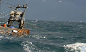 Grønlandsk fiskeri efter hellefisk får MSC-stempel : Arkivfoto