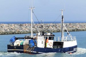 Første skib i havn med tobis i Hirtshals HG31 Sedinah