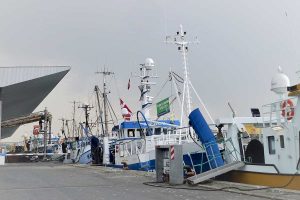 Åbent brev til minister for Fødevarer, Landbrug og Fiskeri Jacob Jensen - Foto Preben Andersen Vi er ganske enkelt nødt til at indfase afgiften i et tempo, som står mål med tilgængelighed og lønsomhed ved andre relevante drivmidler – om det så måtte være biobrændstof, batteriteknologi eller andet. Teknologien er ikke p.t. tilpasset, og i praksis vil vi med en særskilt dansk CO2-afgift presse fiskeriet i 2 mulige retninger – enten lukker en del af erhvervet ned, eller også flyttes en del af fiskeriet til udenlandske havne. Og dermed kender vi alle udmærket resultatet – vi ender som samfund med at importere fiskeprodukter fra lande og havne, som på ingen måde bekymrer sig om hverken miljø eller klima. Dermed har vi fat i kernen af et gammelkendt problem i dansk enegang på klimaområdet: Danmark ender med at være så meget på forkant, at vi blot skubber danske arbejdspladser og industriproduktion til andre lande. Vi må på det skarpeste appellere til, at eksempelvis en CO2-afgift ikke indføres af Danmark alene – det må være en sag for hele EU. Vi kan ikke på den ene side have et fiskerierhverv, som er gennemreguleret i EU for blandt andet at tilsigte lige og fair konkurrencevilkår, og så samtidig indfase en afgift kun for dansk fiskeri, som vil gøre præcis det modsatte – at efterlade vores erhverv i en total ulige konkurrence. Nuvel, den danske stat udtrykker at ville kompensere fiskerne gennem de første 5 år af afgiftsperioden; men når vi samtidig har grund til at tro, at der end ikke er styr på denne kompensationsordning, blandt andet af skattetekniske årsager, ja så er vi på ingen måde trygge ved den kommende ordnings introduktion i al hast. Vi må gøre alt for, at Danmark ikke går enegang, men i stedet indfaser en afgift i samarbejde med alle øvrige EU-lande – alt andet er helt absurd. Danmark må ikke gå enegang på et så stærkt konkurrencepræget marked. Husk endvidere på, at lige præcis fiskerierhvervet er af afgørende betydning for lokale og kommunale økonomier i de danske – og ikke mindst de nord- og vestjyske – landdistrikter. Her er det samtidig nærmest umuligt at erstatte fiskerierhvervet med andre produktions- eller videnserhverv. Det er selvsagt kritisk, ikke mindst i lyset af, at stort set alle havnene har investeret massivt i moderne og udbygget infrastruktur, som i høj grad er tilpasset netop fiskeriet. I tilgift skaber en arbejdsplads til havs adskillige jobs i havnene og i de mange industri- og transportvirksomheder, som læner sig tæt opad fiskeriet. Hele denne fiskeriklynge kan vi ikke, som borgmestre i det vestlige og nordlige Jylland, tillade bliver smadret. Fiskeriet er pr. definition yderst mobilt, når det handler om køb af brændstof og anløb af fremmede havne, og konsekvensen af den kommende afgift skubber naturligvis erhvervet væk fra Danmark. Så enkelt er det! Nyere fartøjer, billigere og mere tilgængelige biobrændstof- og batteriteknologier, bedre og mere energibesparende redskaber kombineret med en ret massiv nedgang i fiskeriet gennem mange år trækker alt sammen i retning af et mere bæredygtigt fiskeri – men særligt de førstnævnte indsatser kan ikke indføres over natten. Det vil tage år, og det vil kræve forstående banker og kreditorer ift. fiskerierhvervet, som i forvejen har begrænset adgang til risikovillig kapital. Endelig er vi ganske enkelt også skuffede over at se, at de selvsamme kommuner, som indiskutabelt bidrager allermest til Danmarks grønne omstilling via vindmøller og solceller, nu skal lide den tort også at betale for omstillingen med en nedgang i det for os afgørende fiskerierhverv. Det kan ganske enkelt ikke passe, at vi betaler for den grønne omstilling på ALLE fronter, mens store dele af det øvrige Danmark kan læne sig komfortabelt tilbage. Vi kan ikke acceptere at blive straffet for vores indsats ved også at skulle afvikle det, som er afgørende for vores økonomiske sammenhængskraft, nemlig de arbejdspladser og den store værdi, som er knyttet til vores primære erhverv og produktionsvirksomheder. Regnestykket er endda endnu sværere at godkende, når vi kan forudsige, at produktion og jobs i stedet blot rykker til udenlandske havne. Det er ikke klog grøn omstilling! Vi vil på det kraftigste opfordre til, at CO2-afgiften udskydes, afbalanceres i en tæt dialog mellem statslige myndigheder, erhverv og kommuner – og ikke blot hastes igennem for at kunne demonstrere en national handlekraft. Med venlig hilsen Nordjysk Fiskerikommunenetværk - Foto Preben Andersen