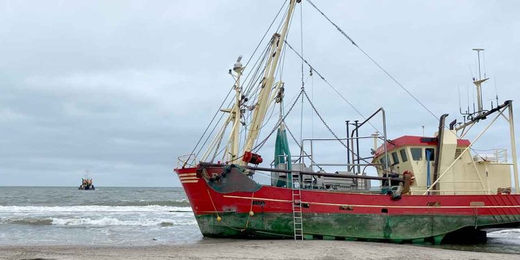 elvom den 16 meter lange rejekutter E4 »Ho Bugt« stod godt og grundigt fast på revlerne ud for Houstrup Strand, lykkedes det at få den trukket fri kl. 12.55 onsdag over middag. Det skete med en hollandsk slæbebåd med en motorkraft på næsten 4.000 hk, godt hjulpet på vej af lokalt bjærgningsfirma. foto. Jens Christrensen Storm Marine