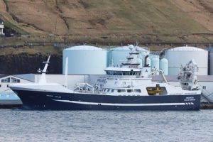 Færøerne: Fortsat gang i landingerne af blåhvilling
