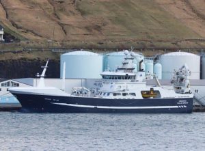 Færøerne: Fortsat gang i landingerne af blåhvilling