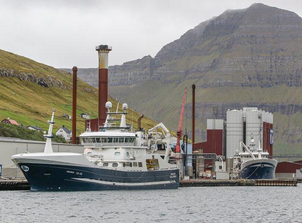 Ligeledes havde **Høgaberg** 1.000 tons sild med hjem fra en tur i islandsk farvand foto: Sverri Egholm