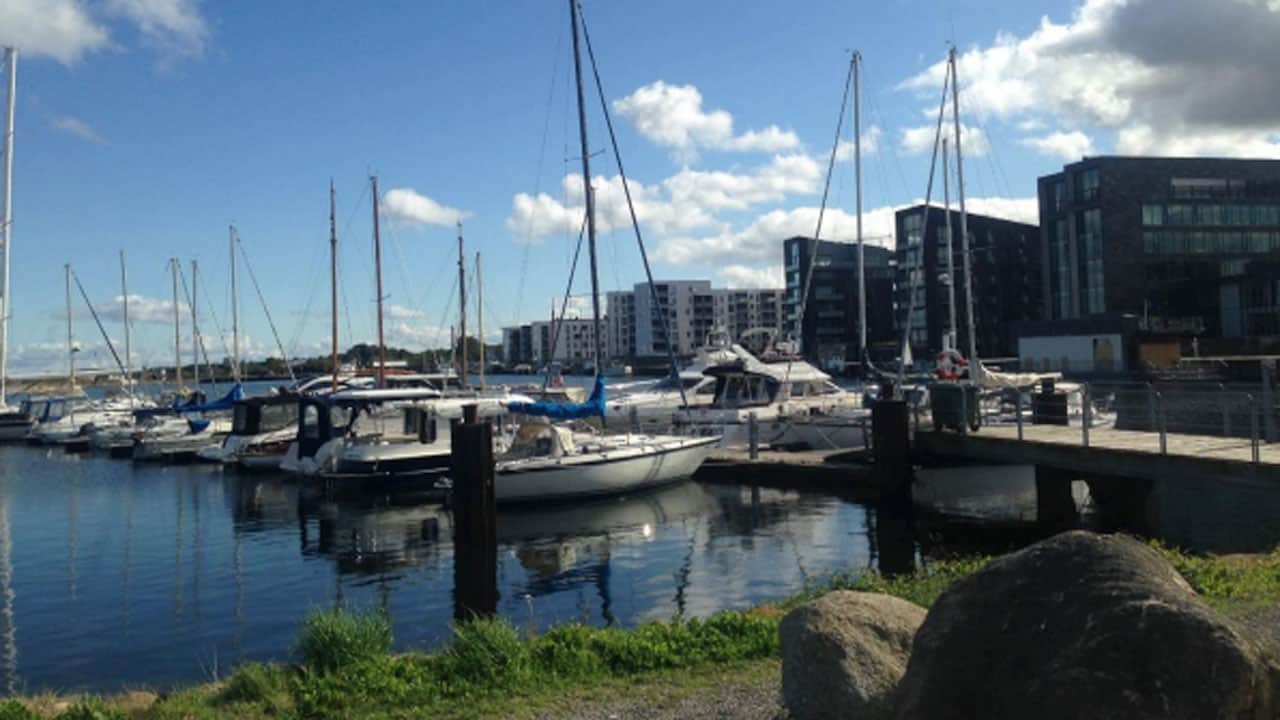 Read more about the article Muslingefiskere ofres på byfornyelsens alter i Holbæk