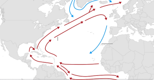 Hovedstrømmene i AMOC, rødt er varmt vand, blåt afkølet vand. Kilde: fair.org