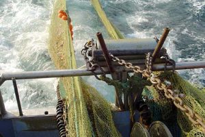 Problemerne tårner sig op for hummerfiskerne i Kattegat.  Arkivfoto: hummerfiskeri i Kattegat - FiskerForum