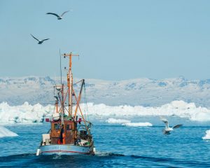 EU og Grønland lagde sidste hånd på den bæredygtige fiskeri-partnerskabsaftale arkivfoto: Europa.eu