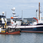 Fiskerne vil på havet og holde hjulene i gang, men når dieselprisen stiger hurtigere end værdien af fangsten, bliver regnestykket stadig vanskeligere. foto: illustration Fiskerforum.dk AI