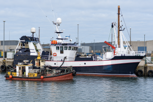 Fiskerne vil på havet og holde hjulene i gang, men når dieselprisen stiger hurtigere end værdien af fangsten, bliver regnestykket stadig vanskeligere. foto: illustration Fiskerforum.dk AI