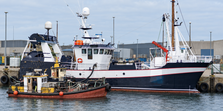 Fiskerne vil på havet og holde hjulene i gang, men når dieselprisen stiger hurtigere end værdien af fangsten, bliver regnestykket stadig vanskeligere. foto: illustration Fiskerforum.dk AI