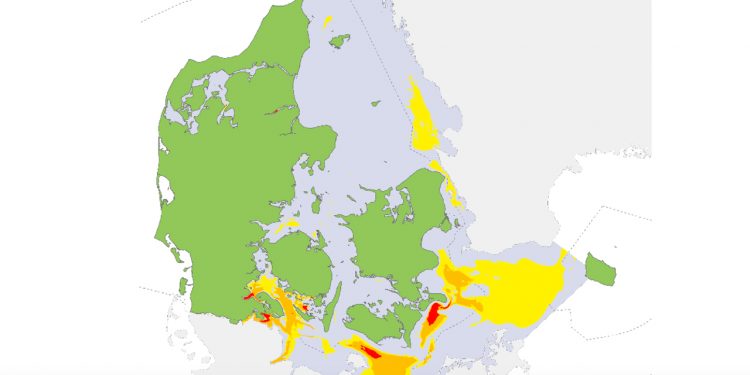 Færre iltsvind i de danske farvande i år end sidste år
