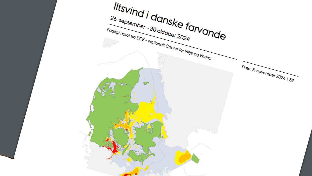 Read more about the article Iltsvindet i danske farvande er nu historisk højt