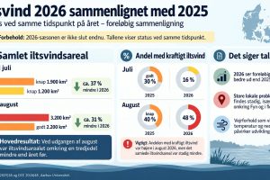 AI - tal fra DCE 2025 og 2026 iltsvind
