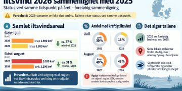 AI - tal fra DCE 2025 og 2026 iltsvind