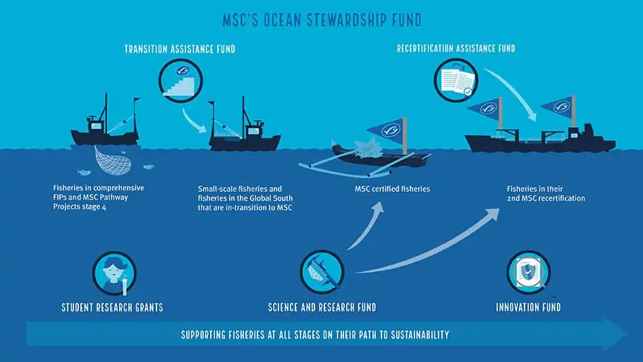  Ocean Stewardship Fund,