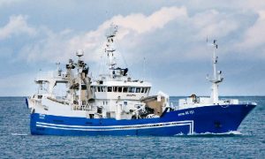 Den pelagiske flåde fra Island jagter industrifisk.  foto: Ingunn AK fra HB Grandi  - HB Grandi