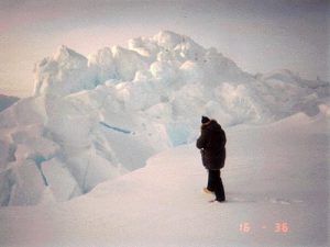 Havisen i Arktis når bundrekord  foto: Wikipedia