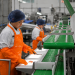 Islandsk fiskefabrik - arkivfoto-fiskerforum.dk AI