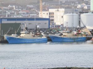 Færøerne: Sej-landinger på Tórshavn, Toftir og Runavík - partrawlerne Jaspis og Ametst