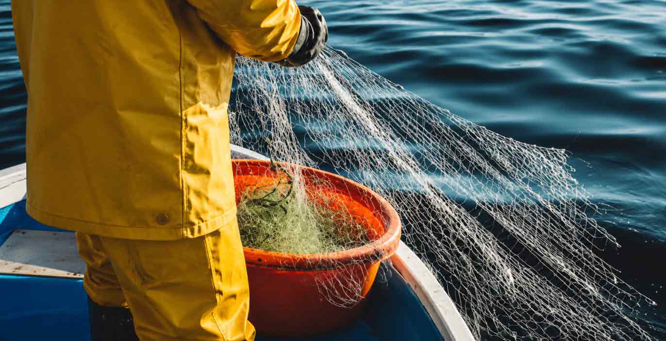 Read more about the article Millionpulje åbner for nye projekter i dansk fiskeri