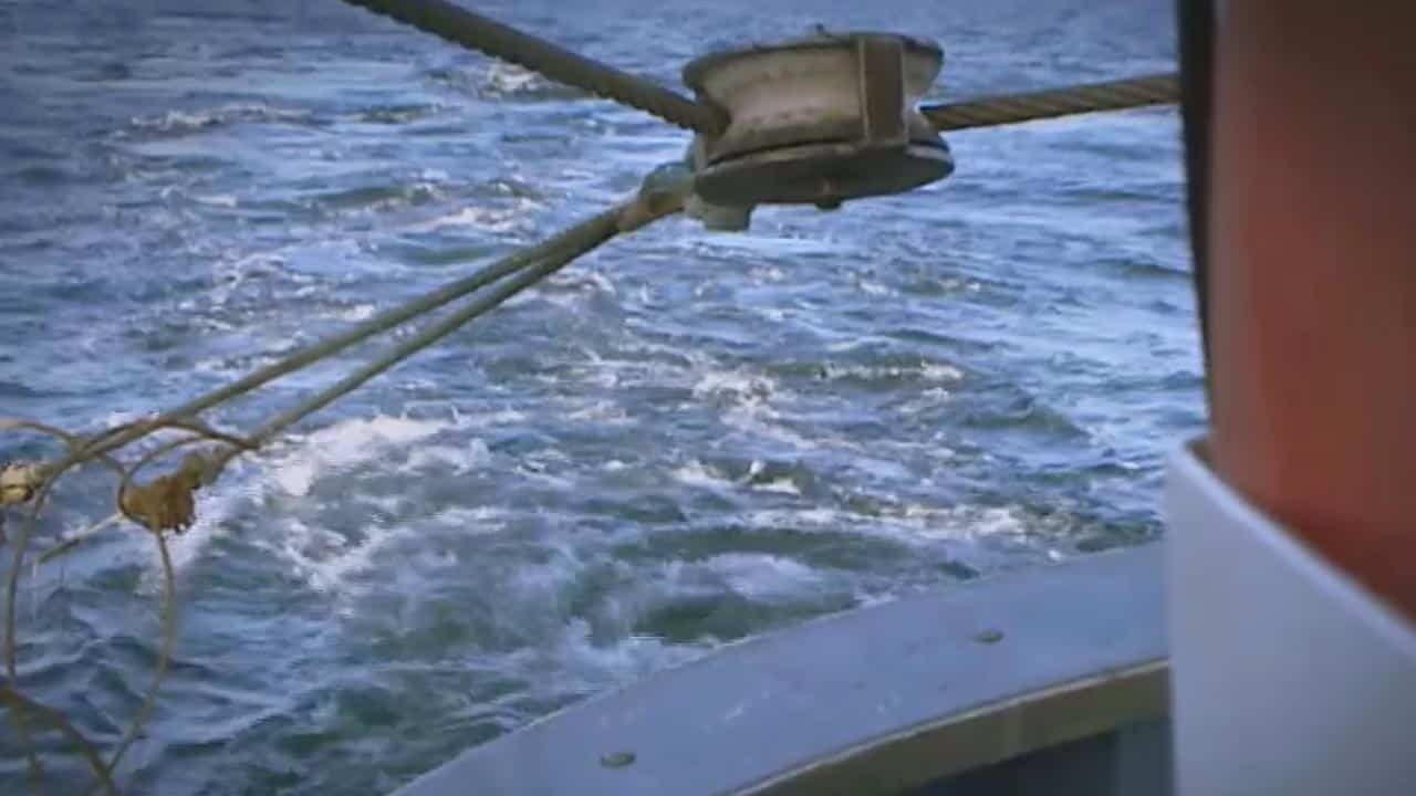 Read more about the article Regeringens forslag om trawlforbud: Et absurd selvmål mod danske fiskere