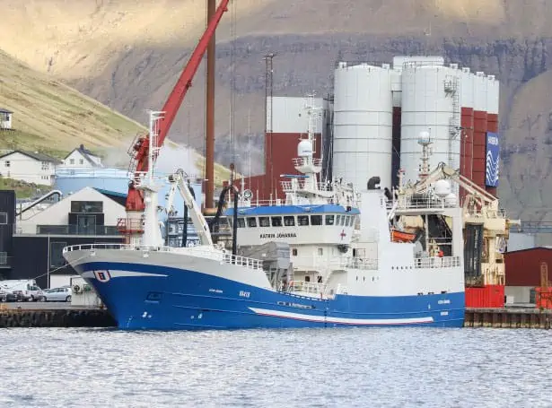 I Fuglefjord landede den godt 73 meter lange trawler **Katrin Jóhanna** en last på 1.875 tons blåhvilling. foto: Kiran J