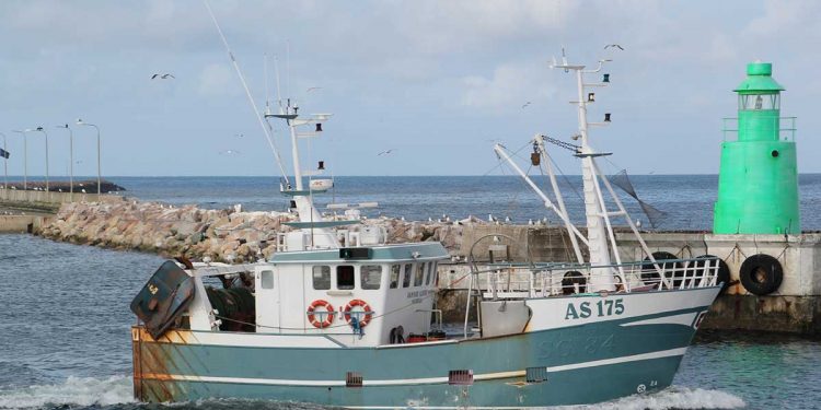 KONFLIKT: Danmark og Sverige uenige om fiskeri i Kattegat - Foto H.Hansen