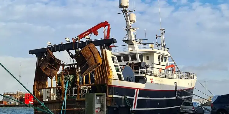 Read more about the article Et skridt frem og to tilbage for dansk fiskeri