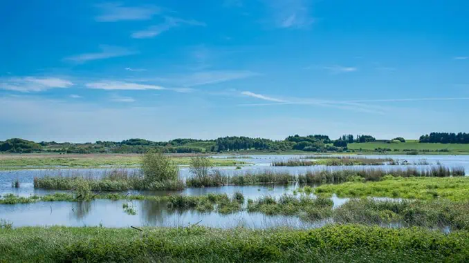 Read more about the article Danmark besidder betydelig viden om vandmiljøet – men der mangler handling