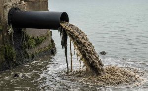 Hvor ofte rettes opmærksomheden mod tungmetaller fra byernes afstrømning, mikroplast fra trafikken eller de mange kemiske stoffer, som traditionelle renseanlæg endnu ikke kan tilbageholde? arkivfoto