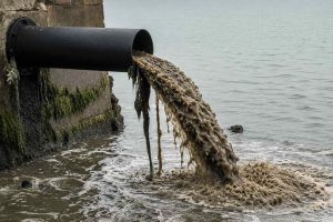 Hvor ofte rettes opmærksomheden mod tungmetaller fra byernes afstrømning, mikroplast fra trafikken eller de mange kemiske stoffer, som traditionelle renseanlæg endnu ikke kan tilbageholde? arkivfoto