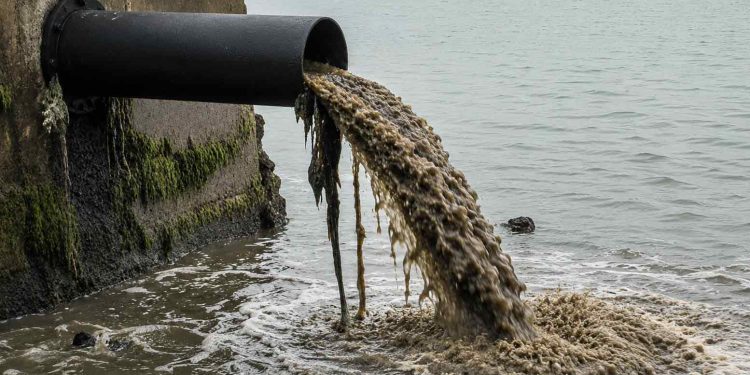 Hvor ofte rettes opmærksomheden mod tungmetaller fra byernes afstrømning, mikroplast fra trafikken eller de mange kemiske stoffer, som traditionelle renseanlæg endnu ikke kan tilbageholde? arkivfoto