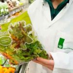 Omkring 4.000 risikobaserede kontrolkampagner skal sætte særligt fokus på blandt andet fiskevarer, fødevaresvindel og virksomhedernes egenkontrol. foto: fødevarestyrelsen